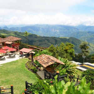 Dégustation café à Salamina